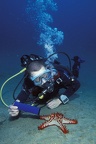 20 Dani et étoile de mer00