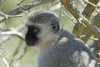 Hluhluwe101